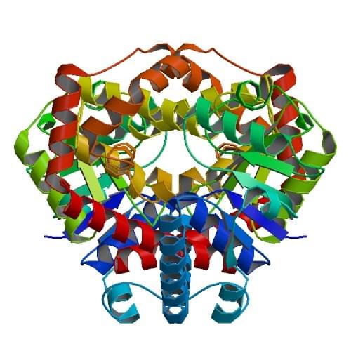 Enzyme Activity Measurement of L-Gulonate 3-Dehydrogenase Using Spectrophotometric Assays